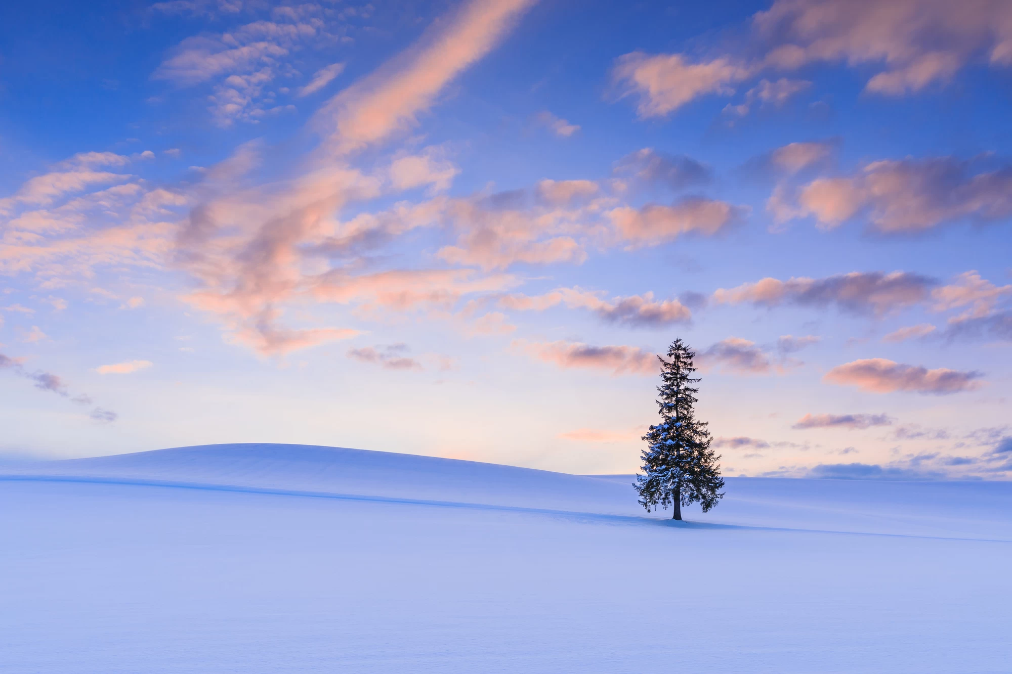 北海道】冬にこそ行きたい！きれいな雪景色が見られる観光モデルコース11選
